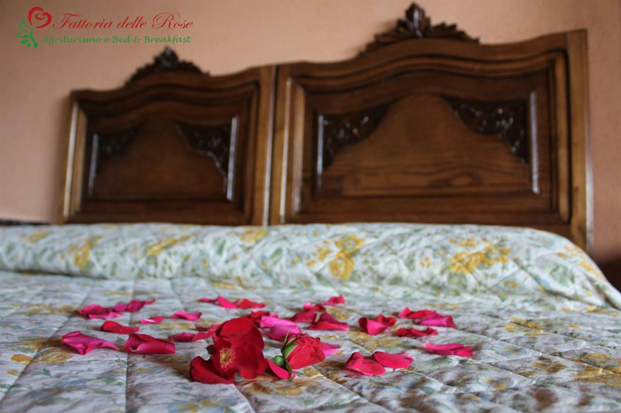 Fattoria Delle Rose Villa Salussola Exterior photo