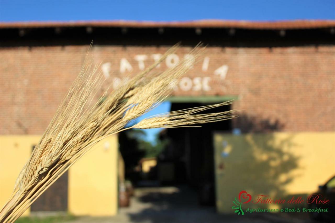 Fattoria Delle Rose Villa Salussola Exterior photo