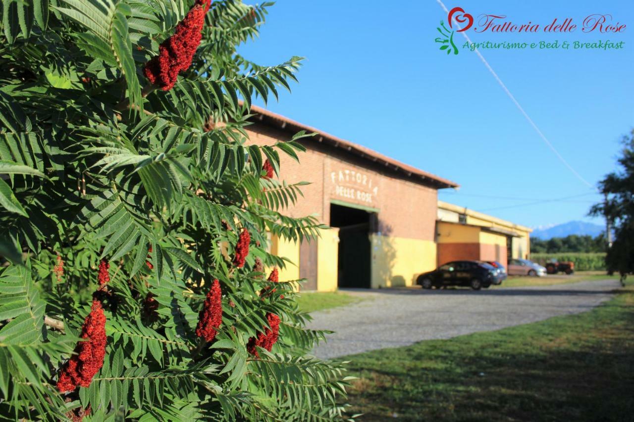 Fattoria Delle Rose Villa Salussola Exterior photo
